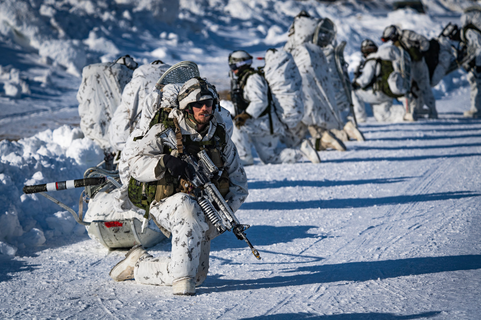 Photo Detail - 20220316ISC0001D014 Canadian Forces Imagery Gallery